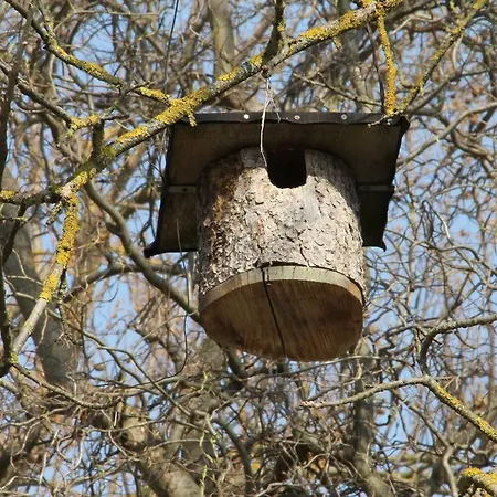 Apartmán Pipagyujto Malom