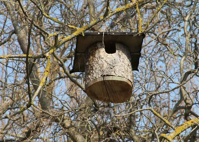 דירה Pipagyujto Malom